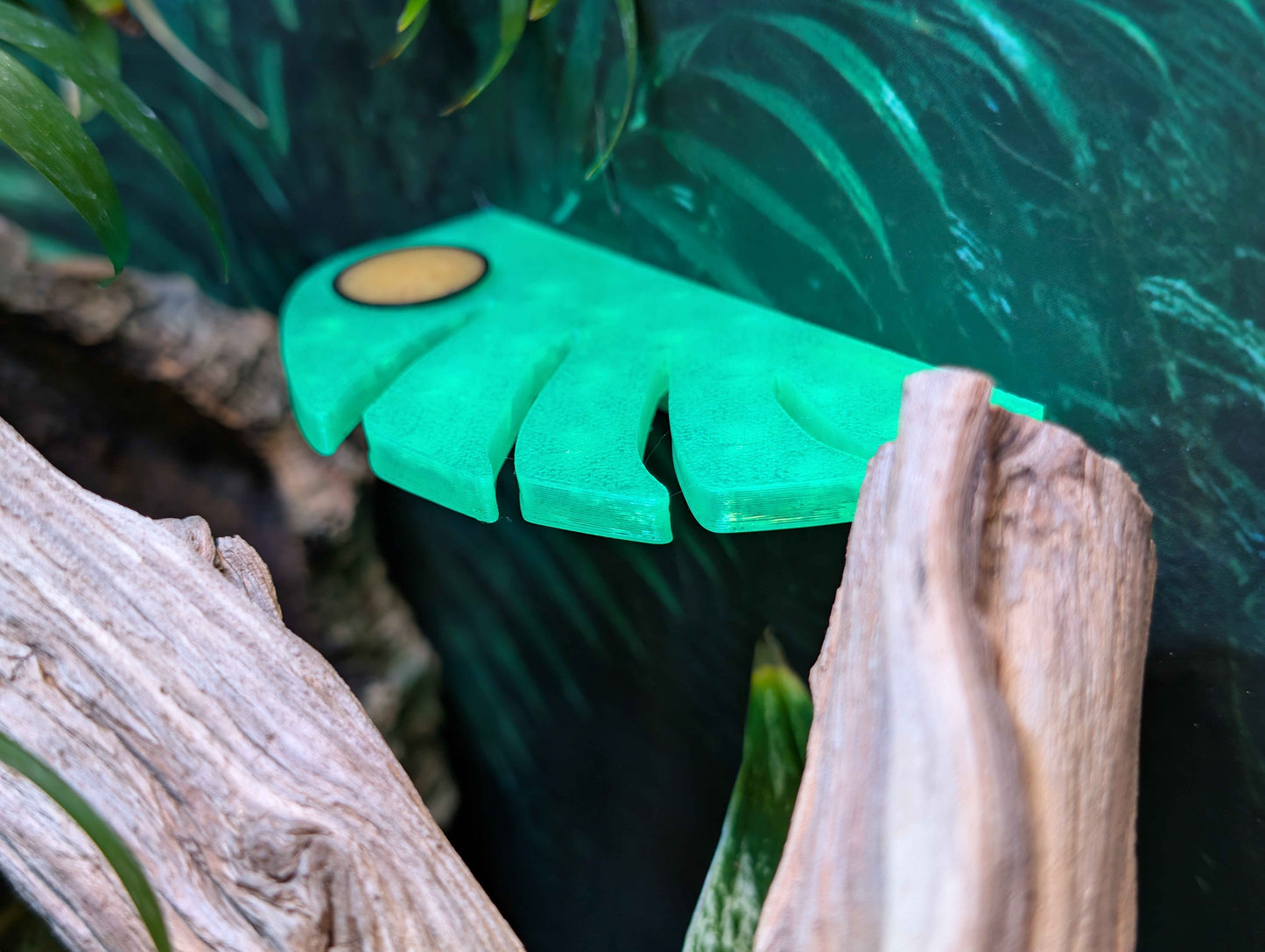 Monstera Leaf Gecko Feeding Ledge | Micro Magnetic Reptile Feeder with Custom Bowls | Arboreal Lizard Food & Water Station