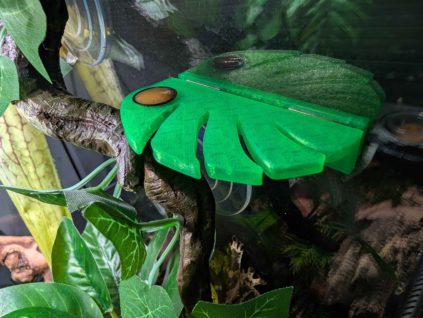 Monstera Leaf Gecko Feeding Ledge | Micro Magnetic Reptile Feeder with Custom Bowls | Arboreal Lizard Food & Water Station
