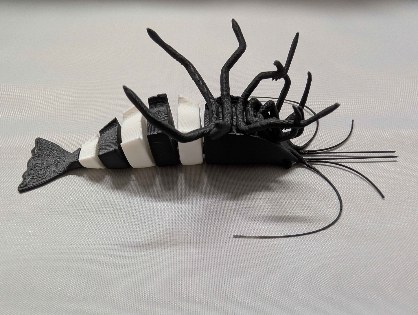Articulated Black Panda Shrimp Model