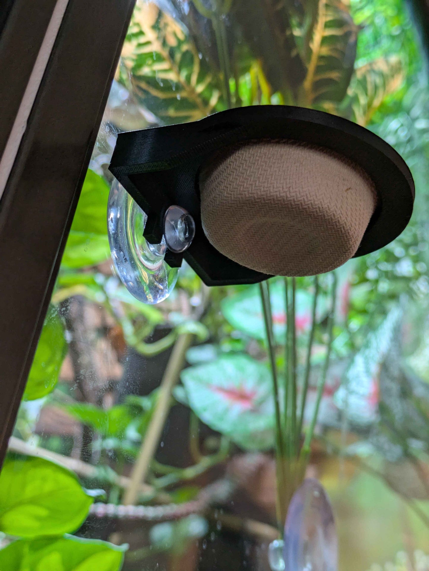 0.5 oz Reptile Feeding Ledge