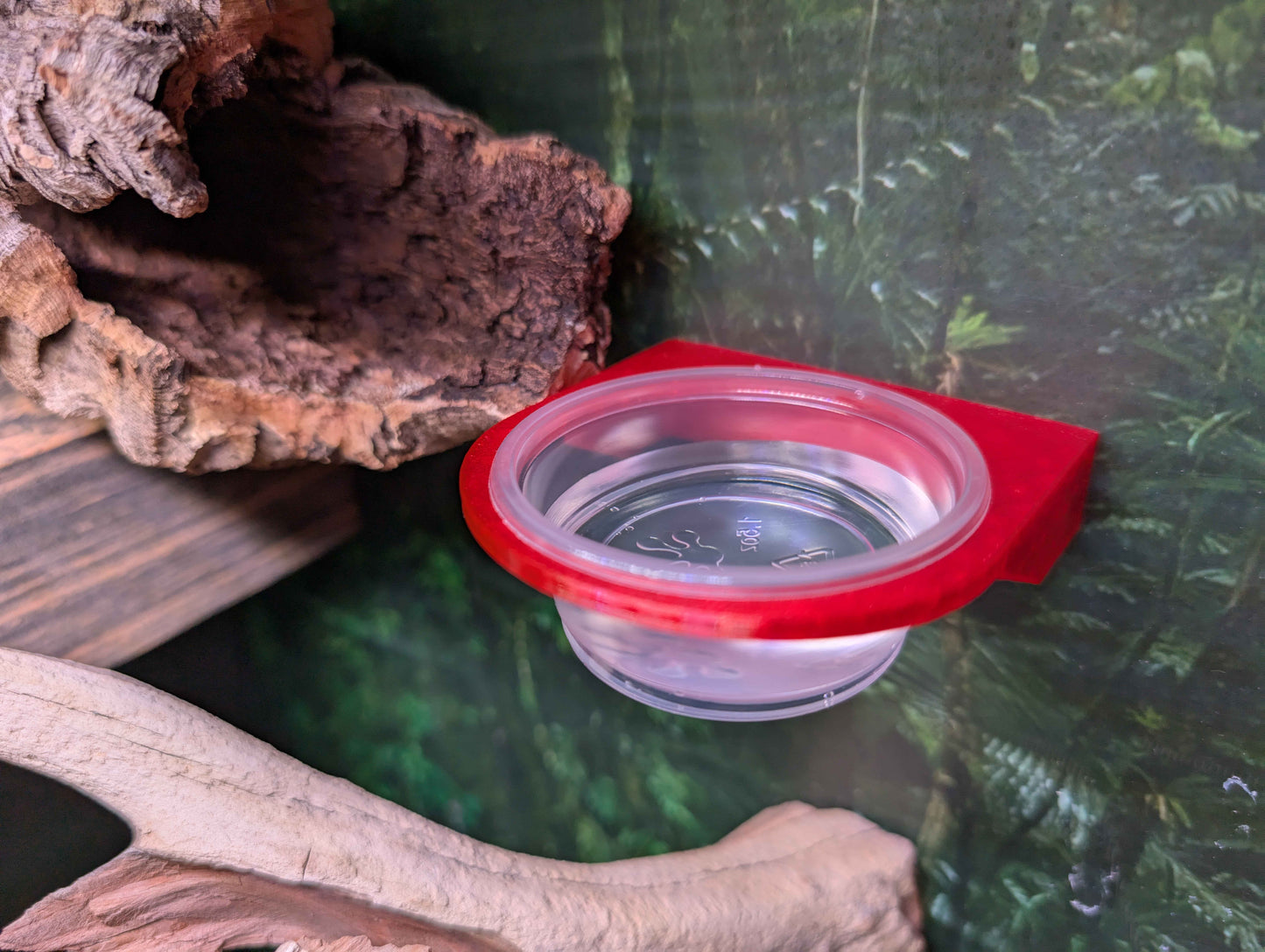 Magnetic Reptile Feeding Ledge | Single Bowl Gecko Feeder | 1.5 oz Cup Holder for Crested Geckos, Lizards, and Small Reptiles