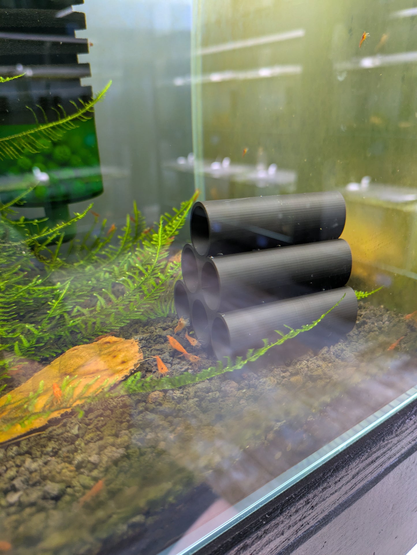 Shrimp Hide - Tube