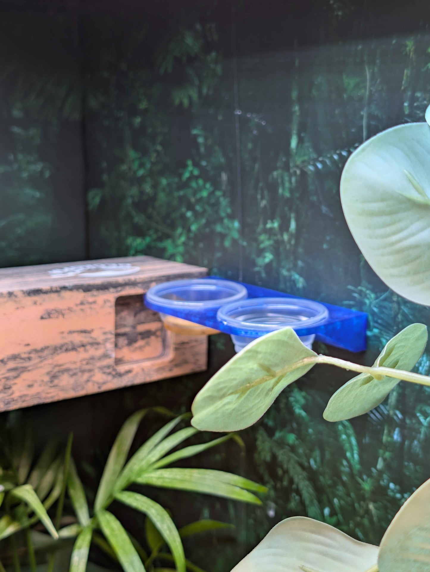 Magnetic Reptile Food and Water Ledge | Double Bowl Gecko Feeder | 0.5 oz Cup Holder for Crested Geckos, Lizards, and Small Reptiles