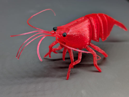 Articulated Shrimp