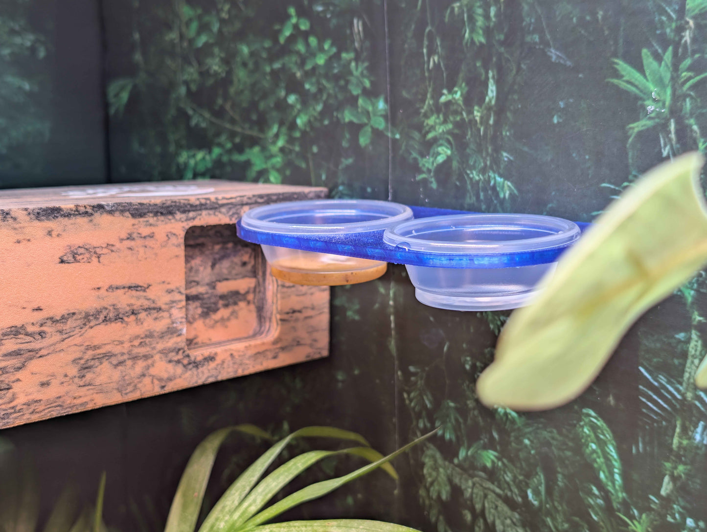 Magnetic Reptile Food and Water Ledge | Double Bowl Gecko Feeder | 0.5 oz Cup Holder for Crested Geckos, Lizards, and Small Reptiles