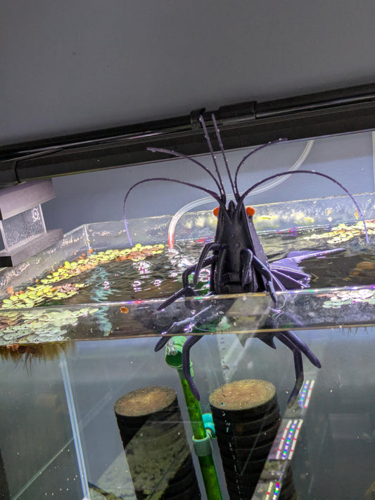 Giant Articulated Shrimp