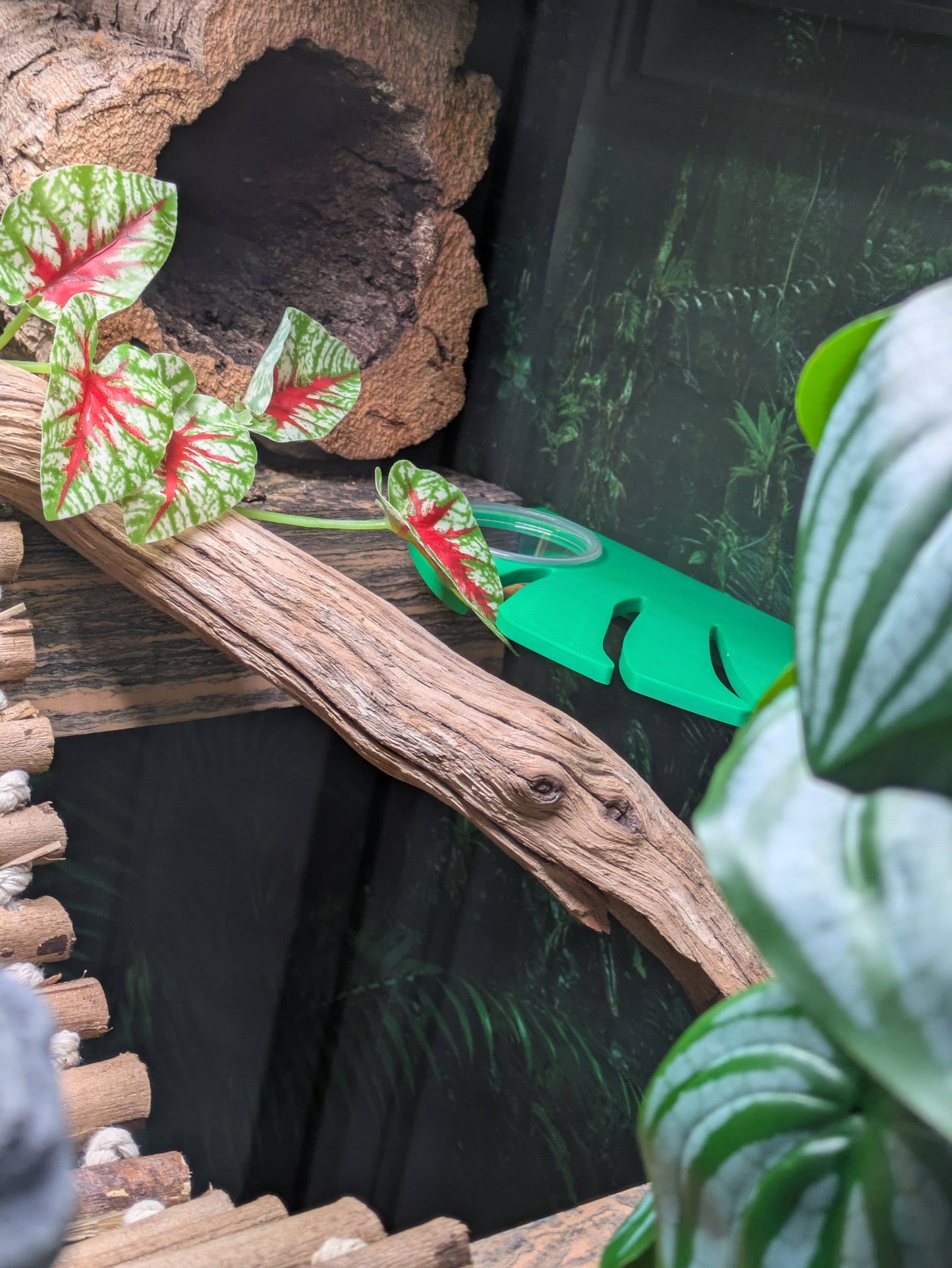 0.5 oz Monstera Leaf Reptile Feeding Ledge