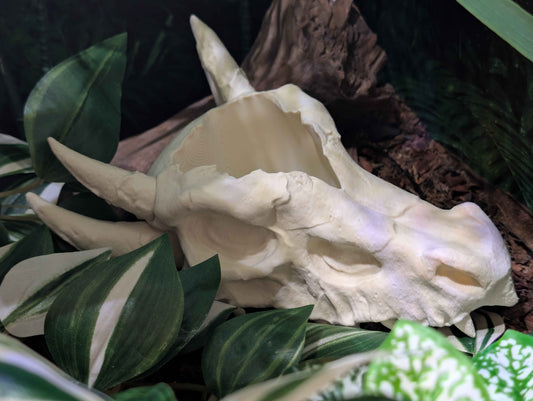 Dragon Skull Planter for Home and Terrarium Decor