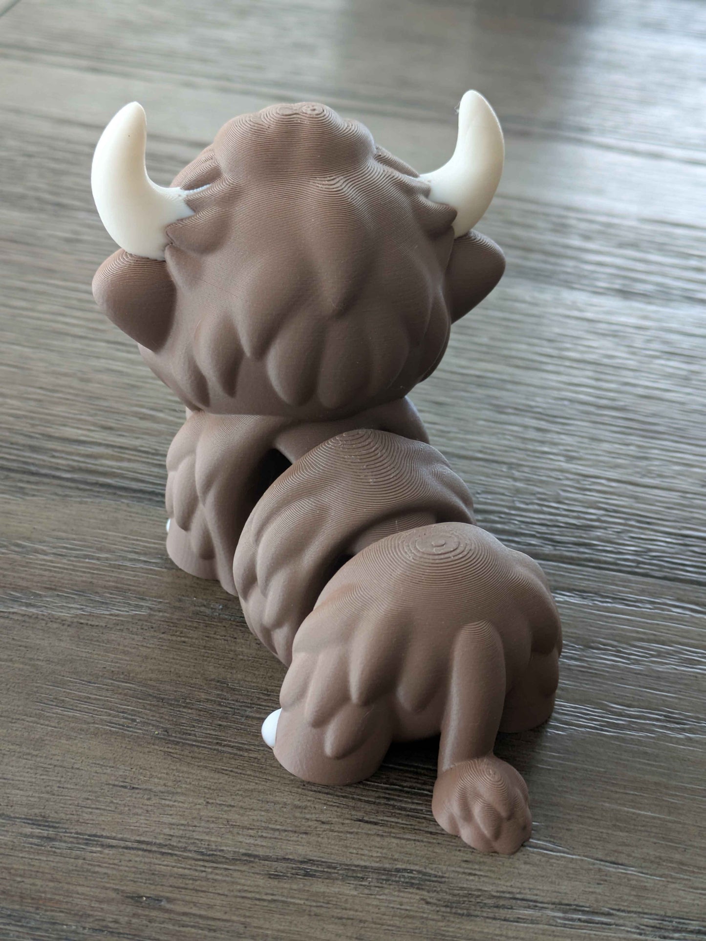 Highland Cow