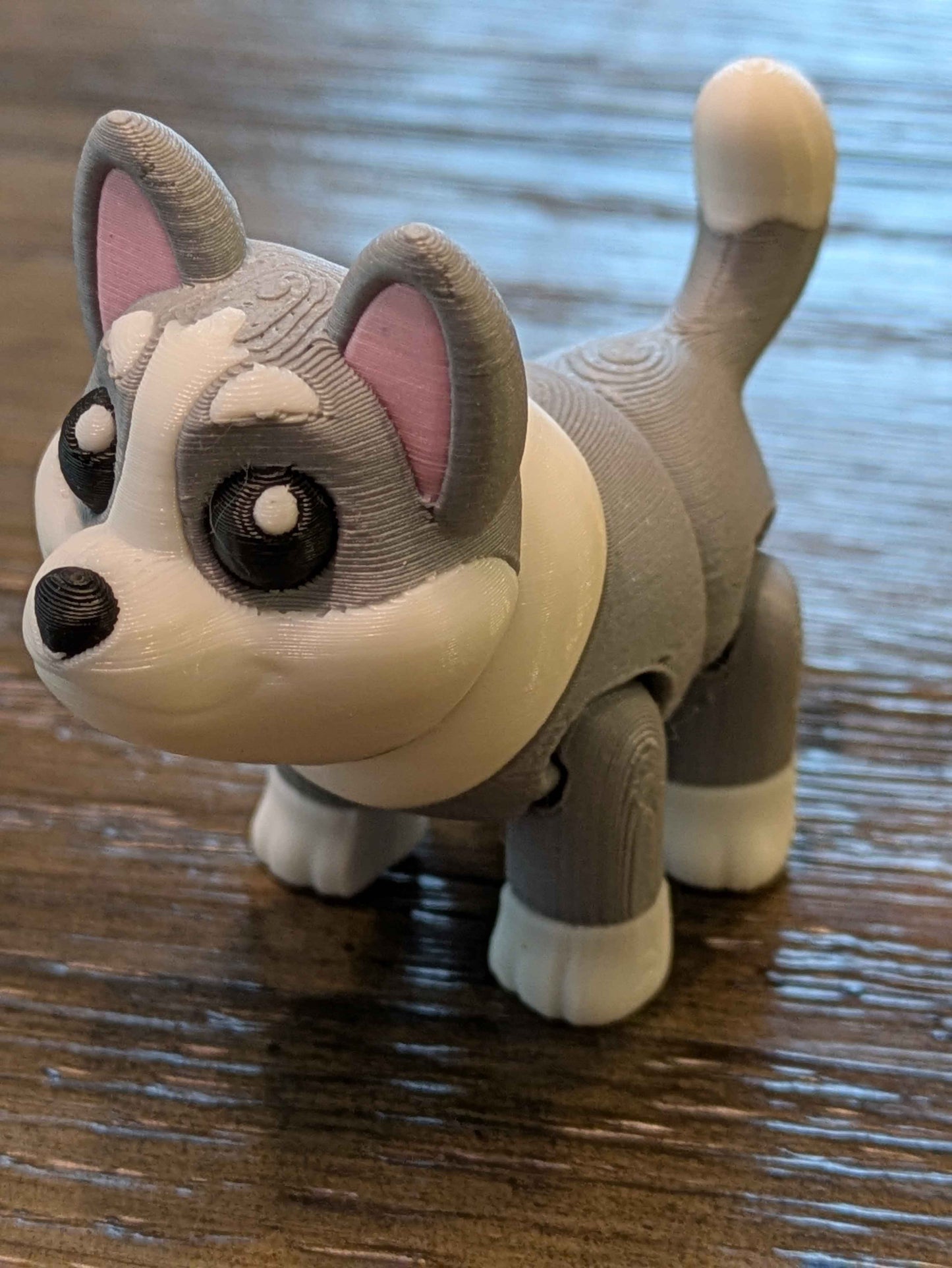 Sled Dog