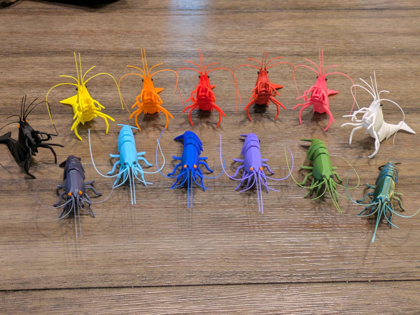 Giant Articulated Shrimp