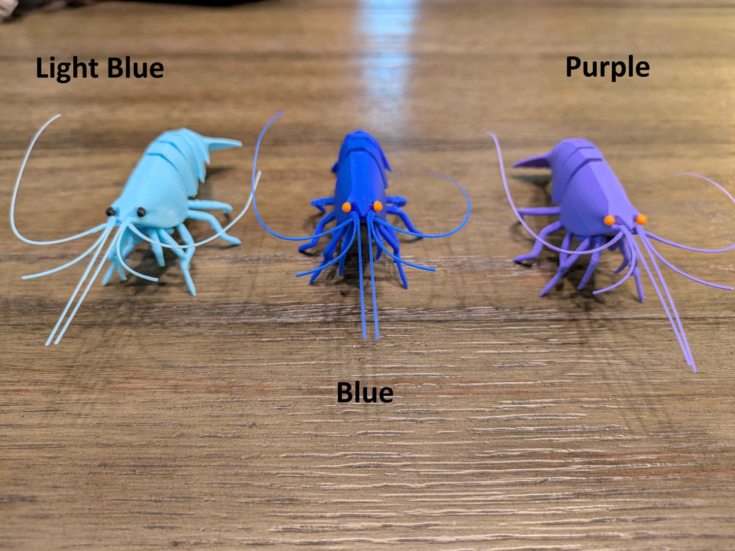 Sinking Shrimp for Aquarium Decor
