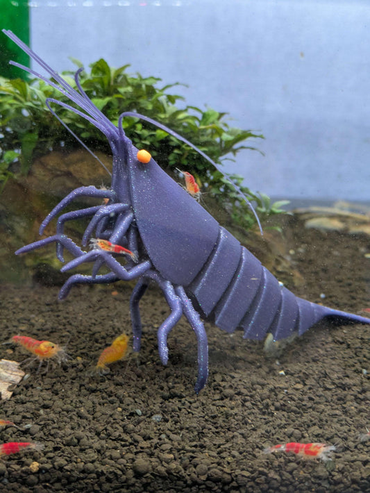 Sinking Shrimp for Aquarium Decor