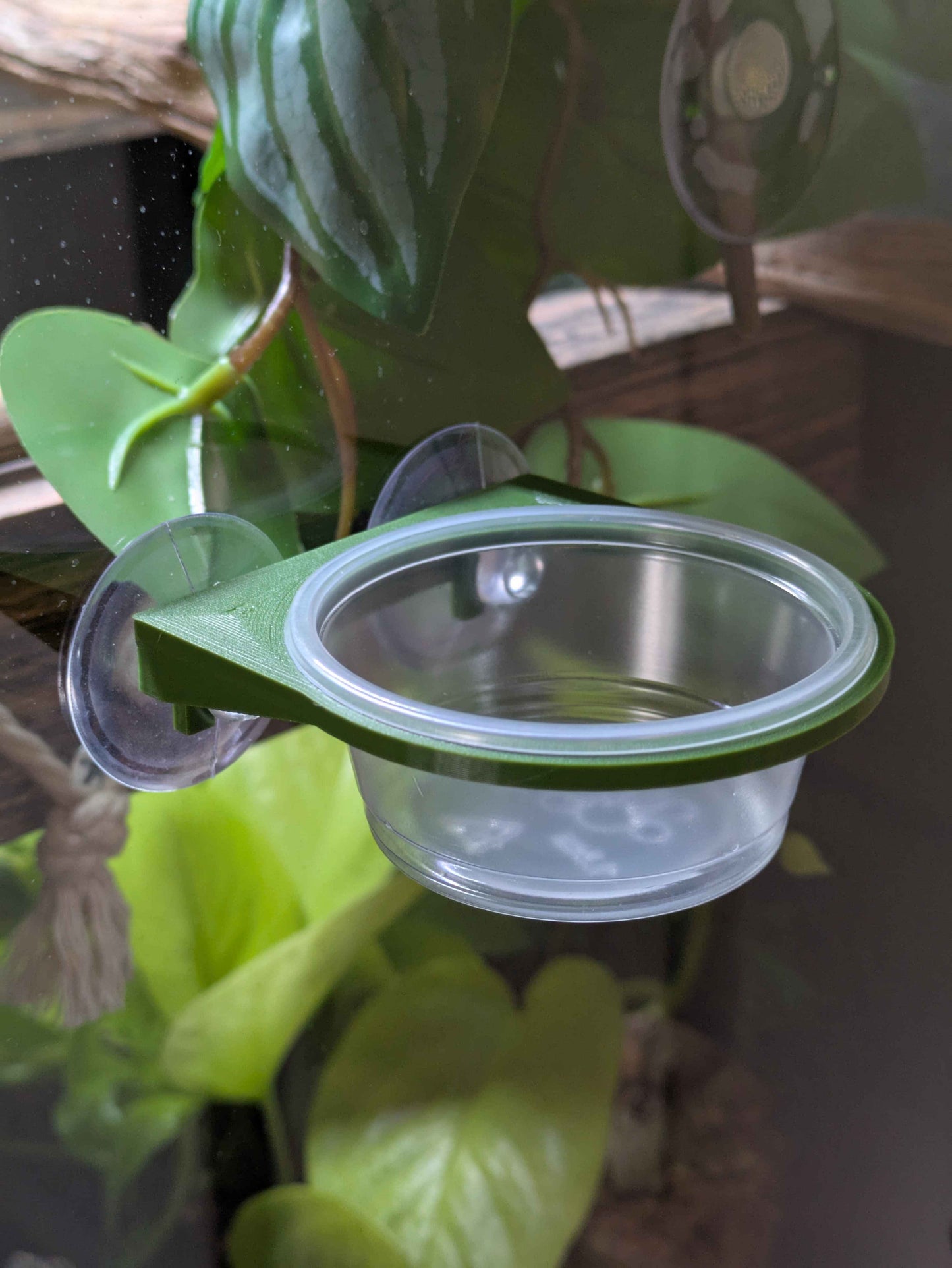 1.5 oz Reptile Feeding Ledge