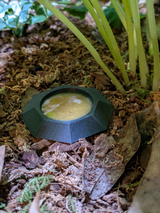 Tip Resistant Reptile Feeding Dish Travel Bowl