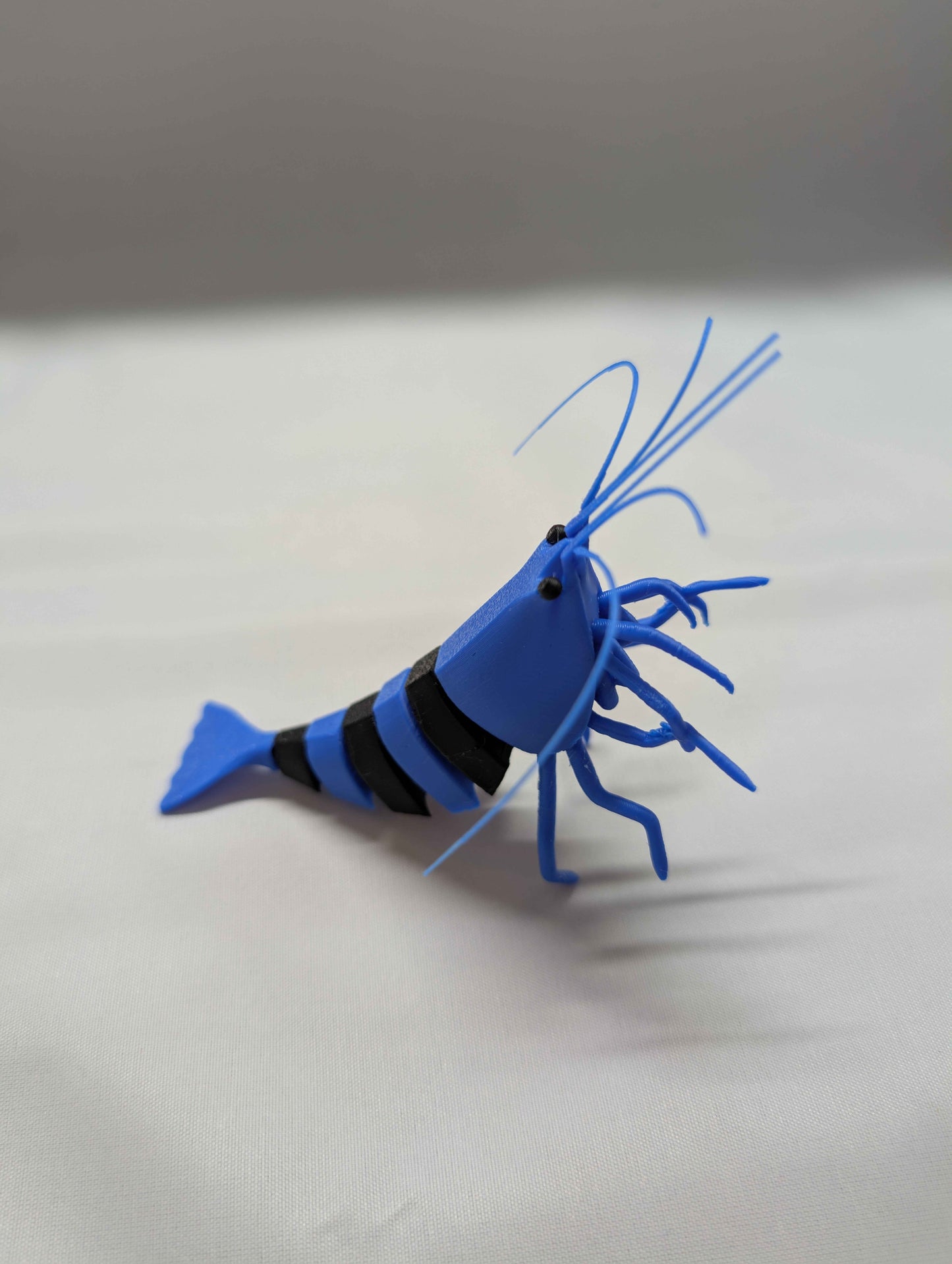 Articulated Shadow Panda Shrimp Model