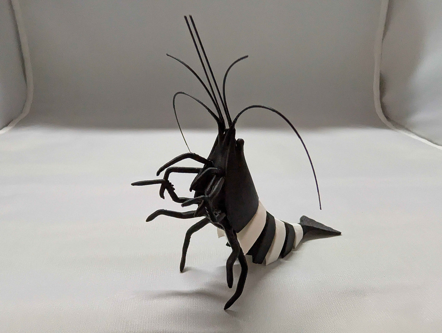 Articulated Black Panda Shrimp Model