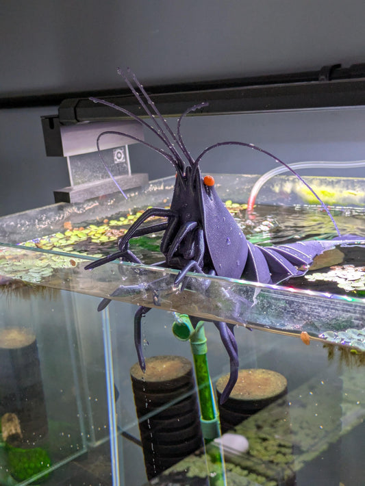 Giant Articulated Shrimp