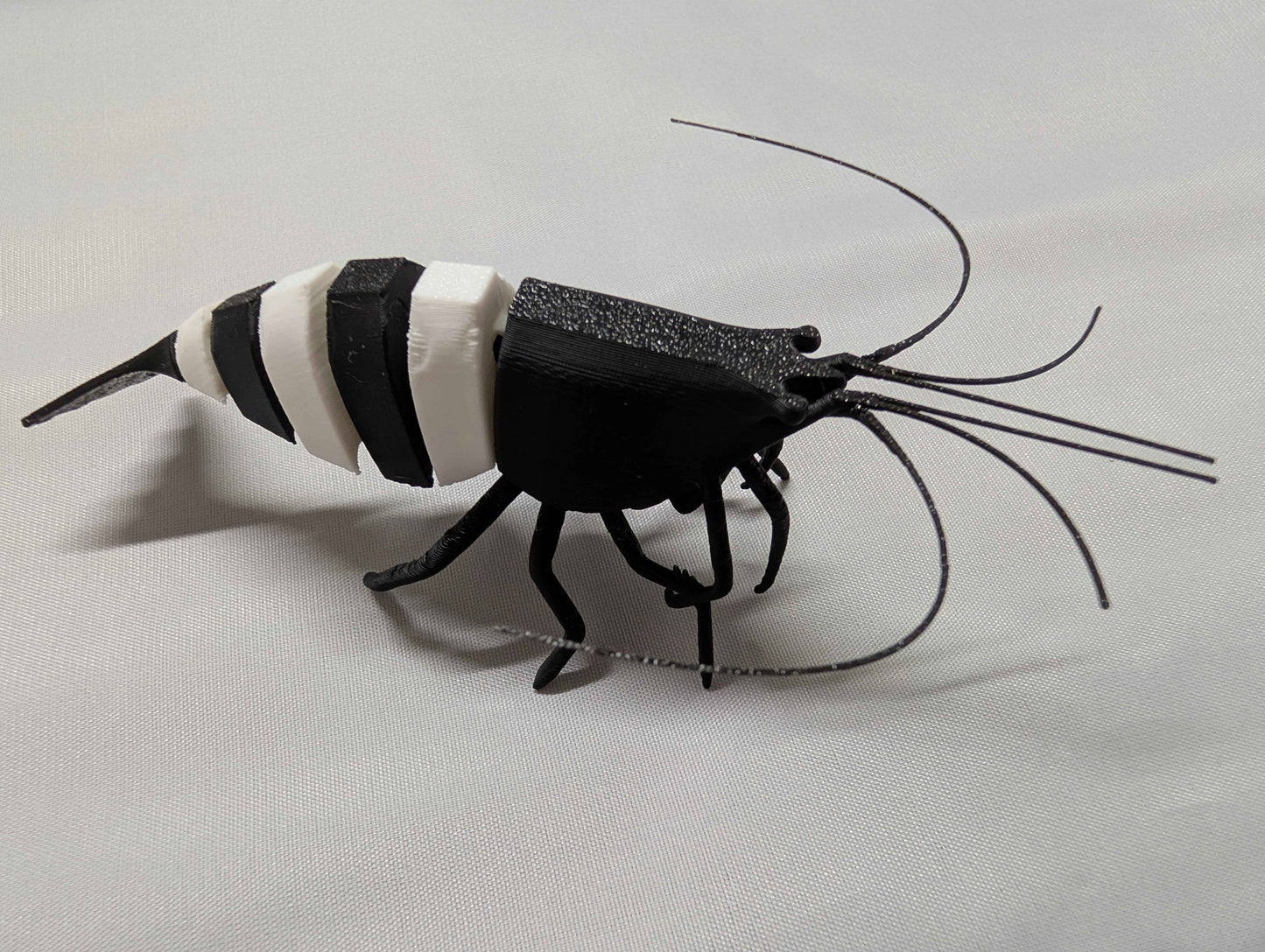 Articulated Black Panda Shrimp Model