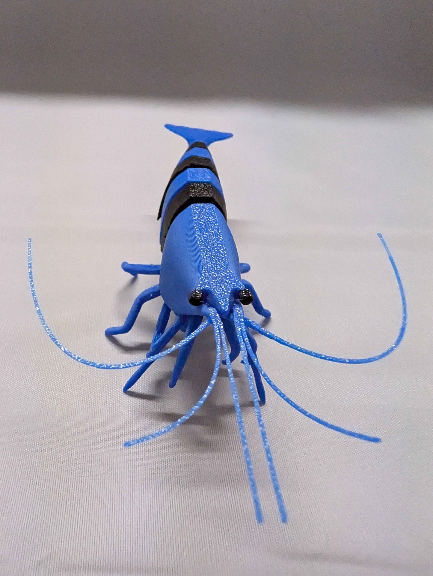 Articulated Shadow Panda Shrimp Model