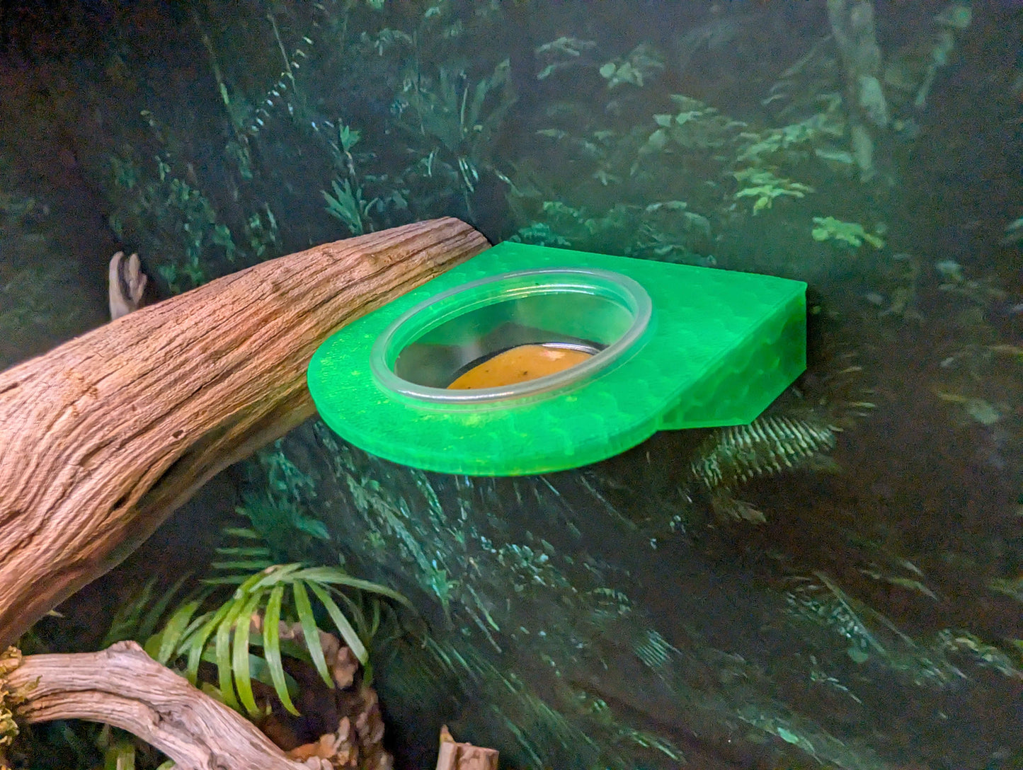 Magnetic Reptile Feeding Ledge | Single Bowl Gecko Feeder | 0.5 oz Cup Holder for Crested Geckos, Lizards, and Small Reptiles