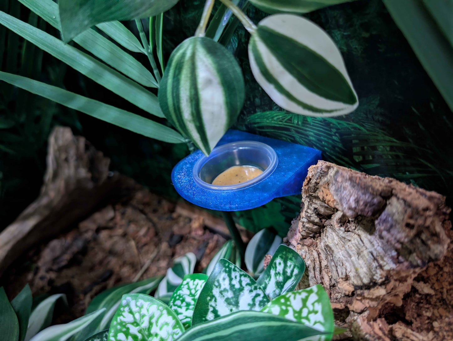 Magnetic Reptile Feeding Ledge | Single Bowl Gecko Feeder | 0.5 oz Cup Holder for Crested Geckos, Lizards, and Small Reptiles
