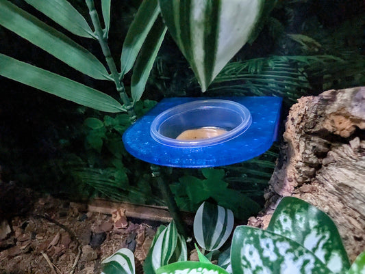 Magnetic Reptile Feeding Ledge | Single Bowl Gecko Feeder | 0.5 oz Cup Holder for Crested Geckos, Lizards, and Small Reptiles
