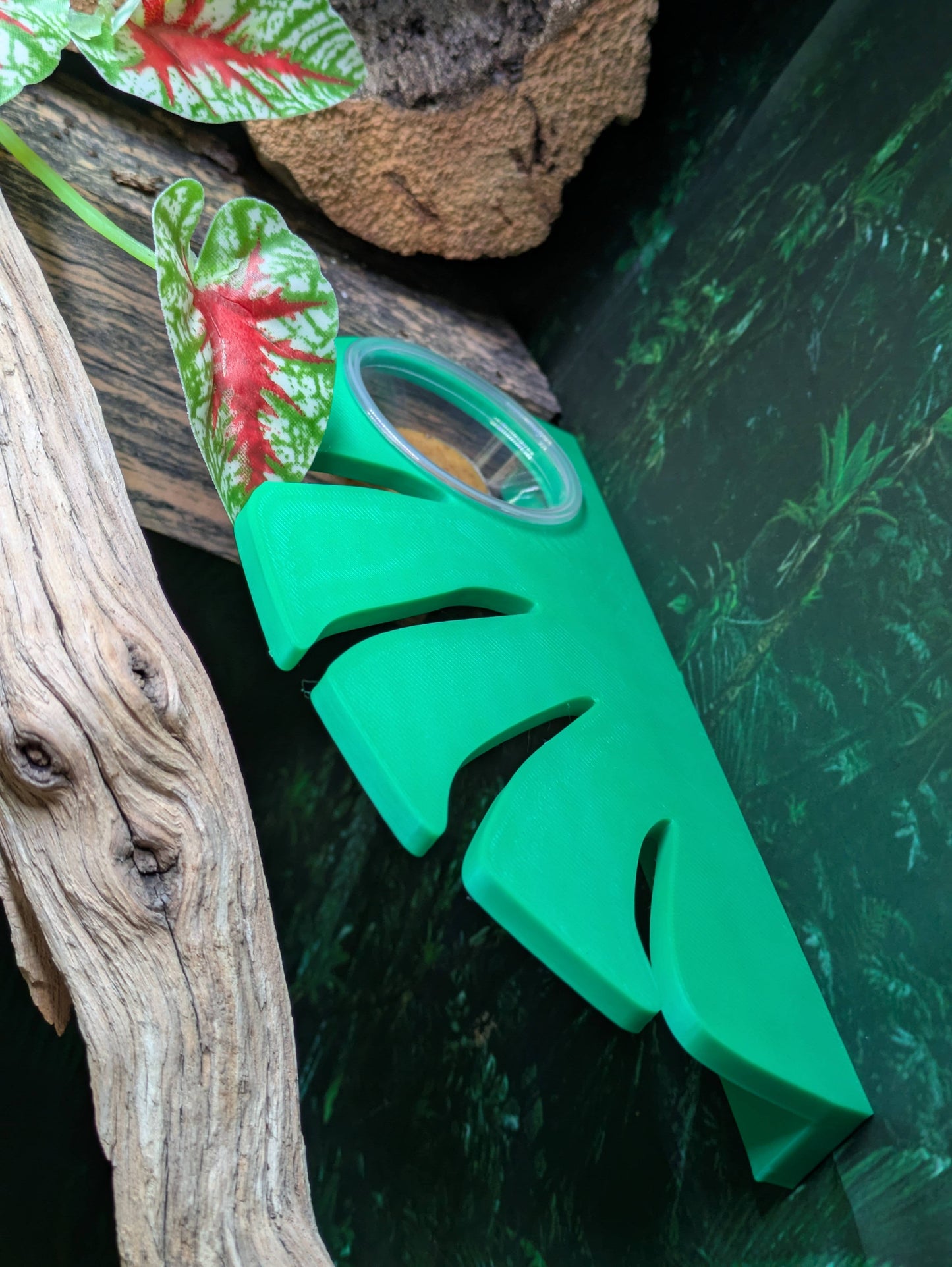 0.5 oz Monstera Leaf Reptile Feeding Ledge