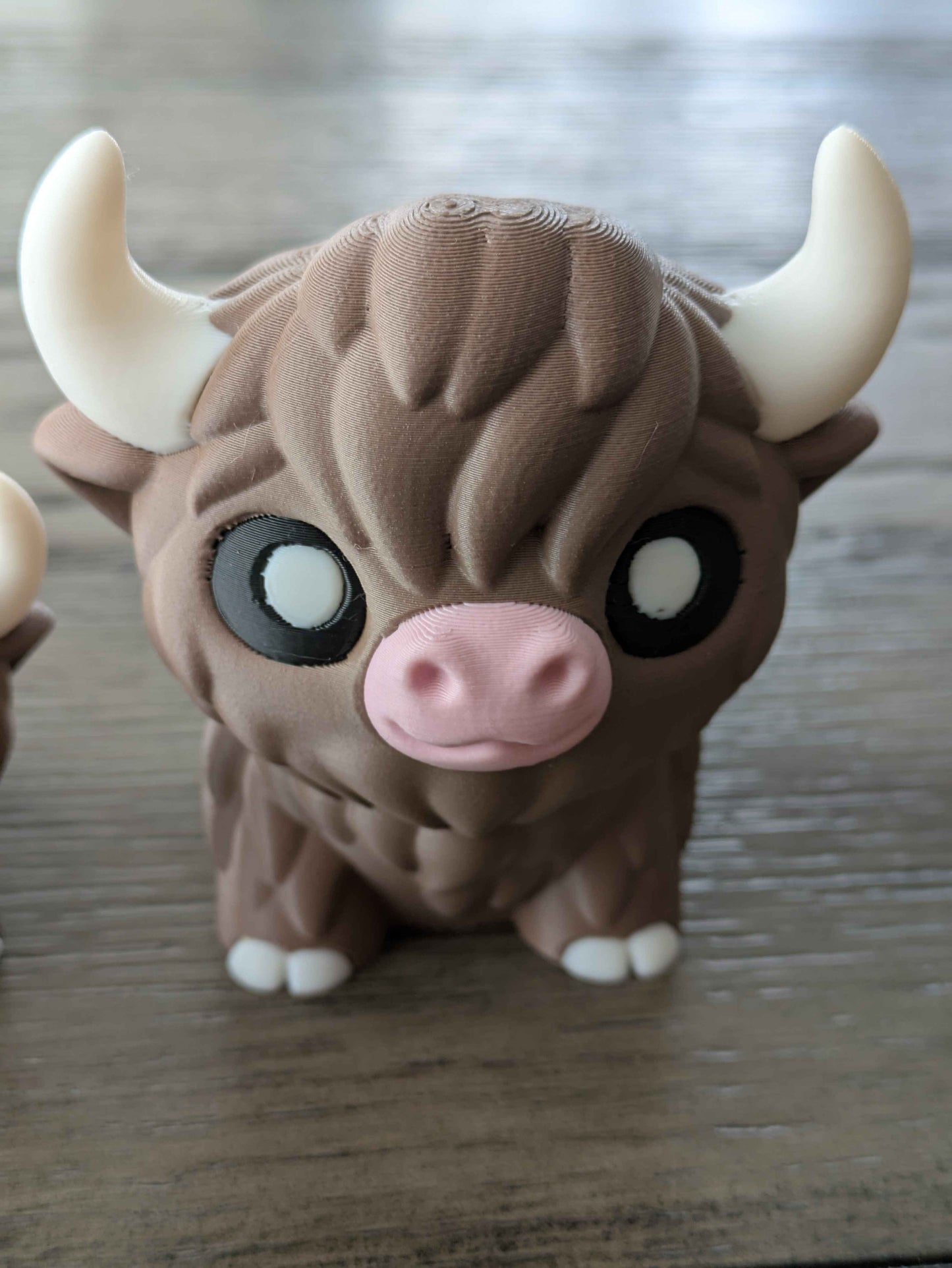 Highland Cow