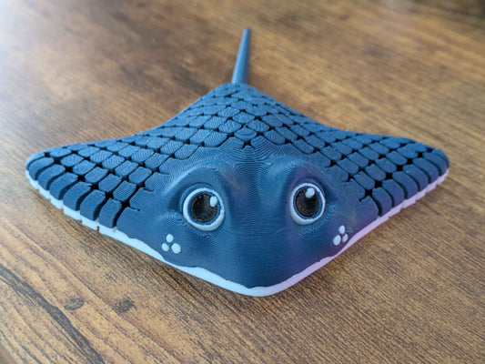 Manta Ray