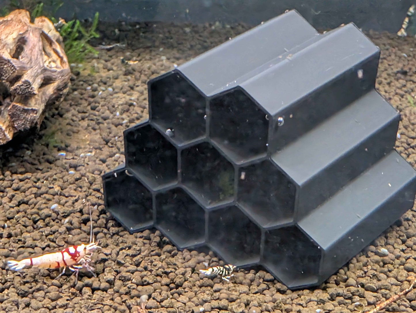 Hex Tube Shrimp Hide – Aquarium Shelter for Neocaridina & Caridina Shrimp