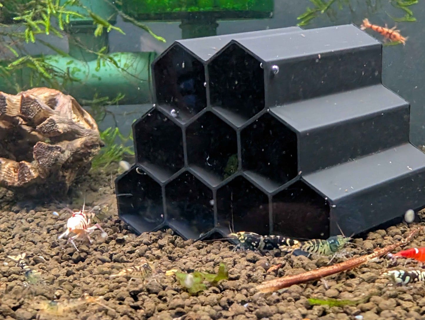 Hex Tube Shrimp Hide – Aquarium Shelter for Neocaridina & Caridina Shrimp