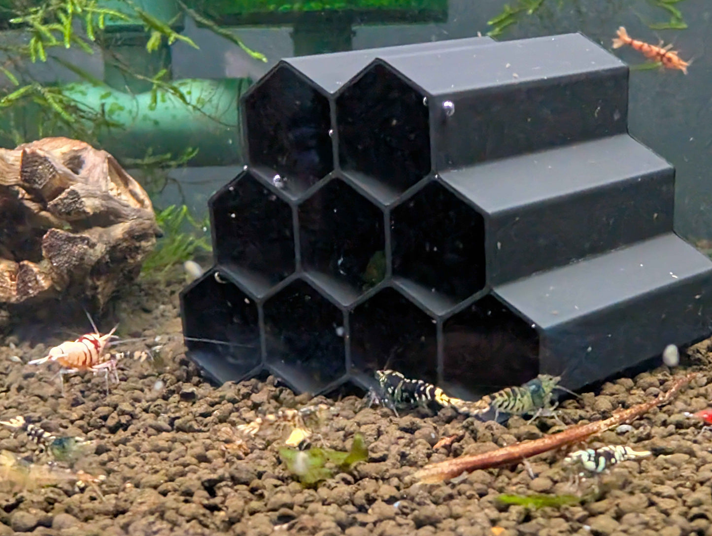 Hex Tube Shrimp Hide – Aquarium Shelter for Neocaridina & Caridina Shrimp