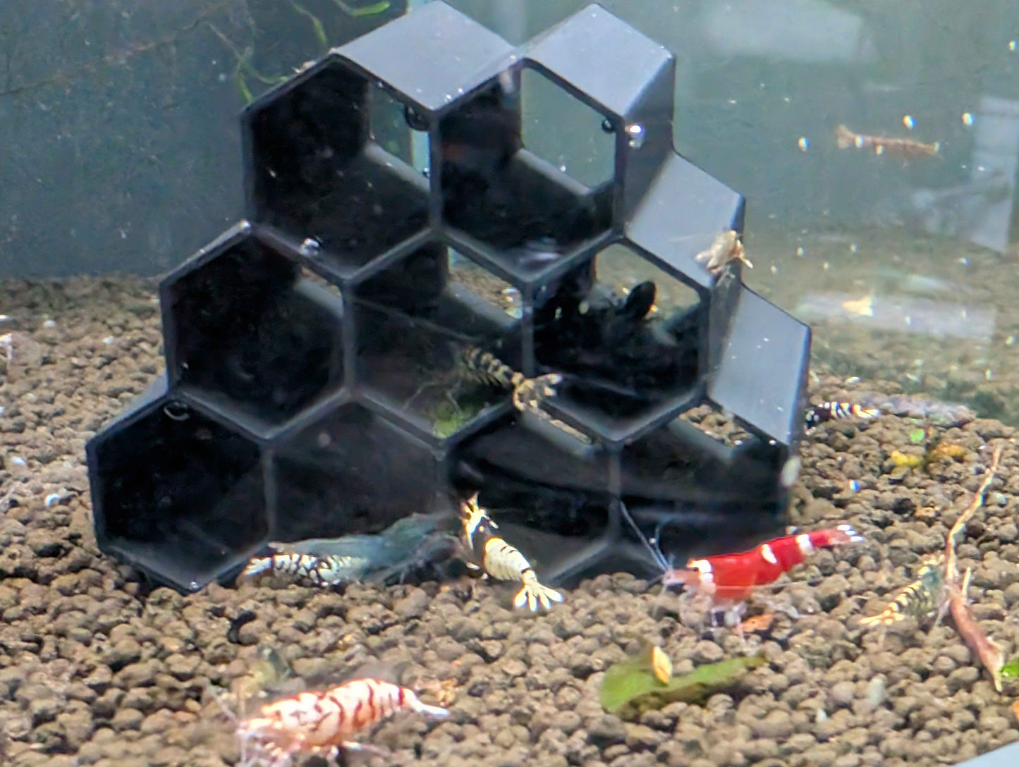 Hex Tube Shrimp Hide – Aquarium Shelter for Neocaridina & Caridina Shrimp
