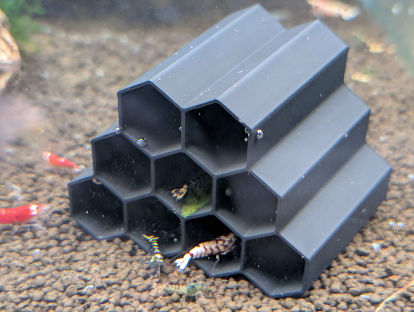 Hex Tube Shrimp Hide – Aquarium Shelter for Neocaridina & Caridina Shrimp