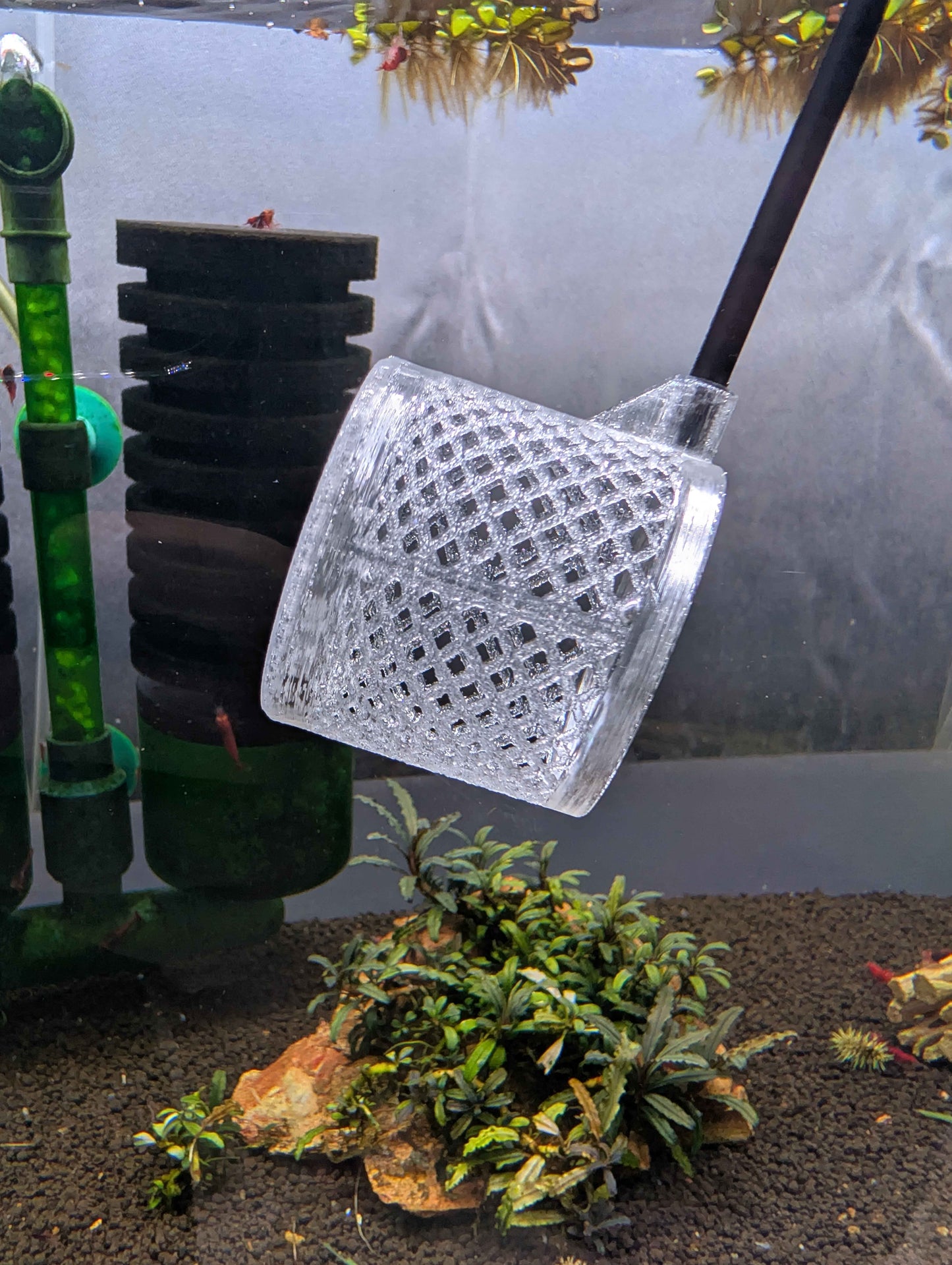 Shrimp Net - Sturdy 12 Inch Aquarium Net for Neocaridina, Caridina & Small Fish