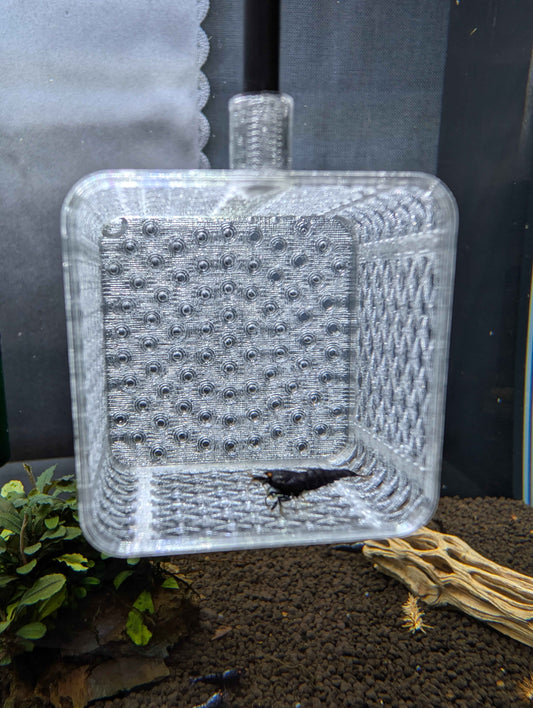 Square Shrimp Net - Sturdy 12 Inch Aquarium Net for Neocaridina, Caridina & Small Fish