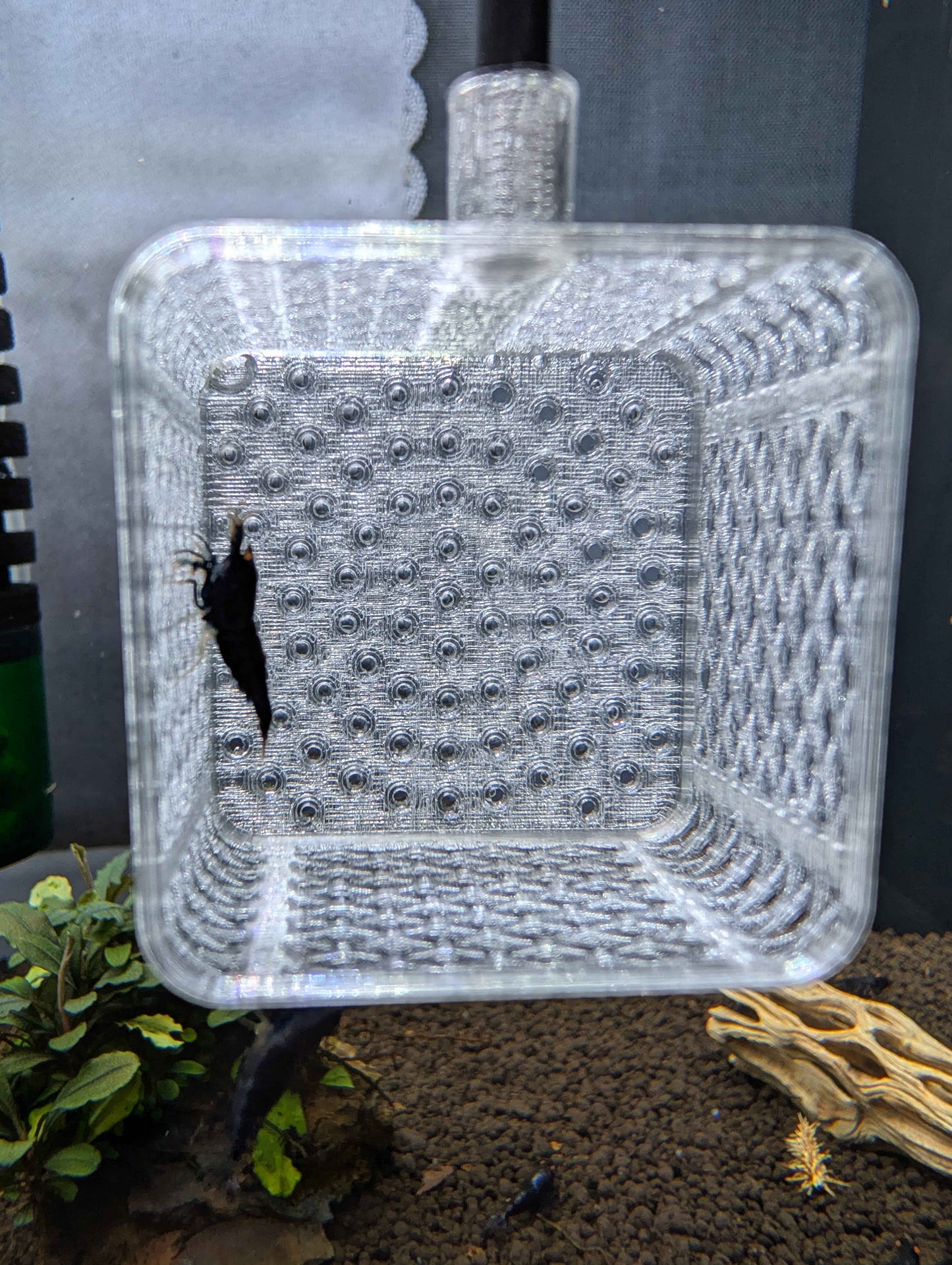 Square Shrimp Net - Sturdy 12 Inch Aquarium Net for Neocaridina, Caridina & Small Fish