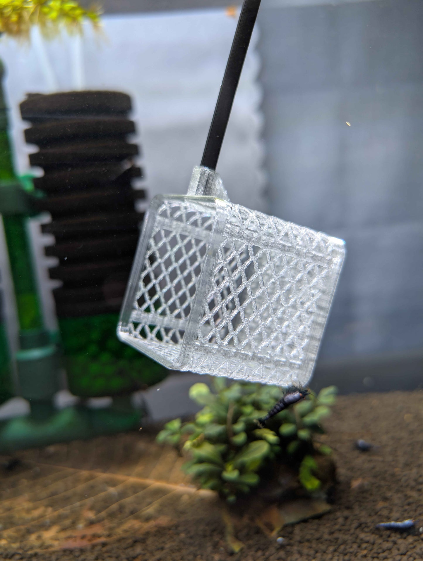 Square Shrimp Net - Sturdy 12 Inch Aquarium Net for Neocaridina, Caridina & Small Fish