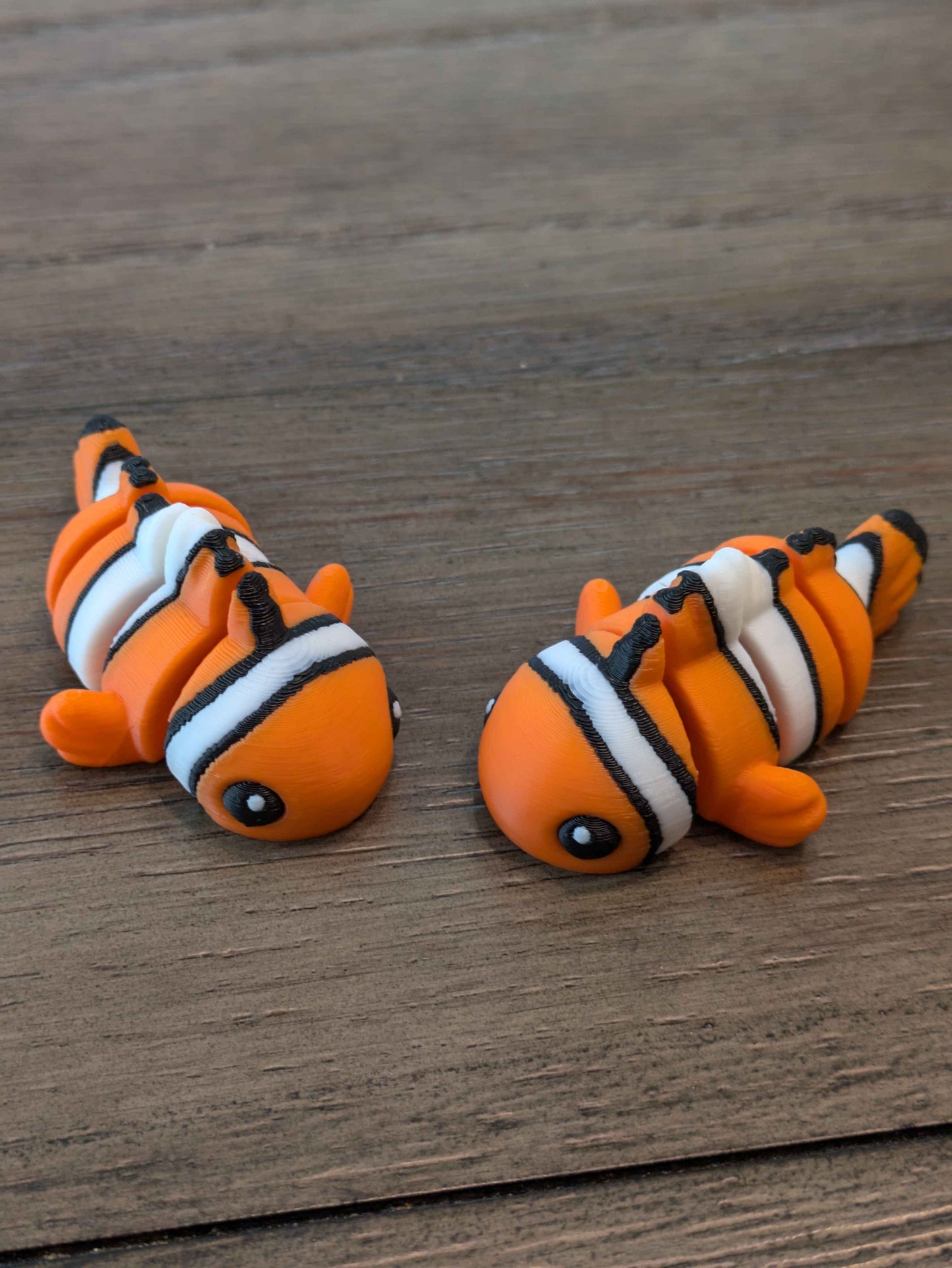 Baby Clownfish
