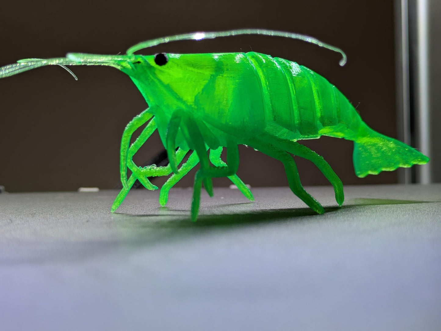 Articulated Shrimp