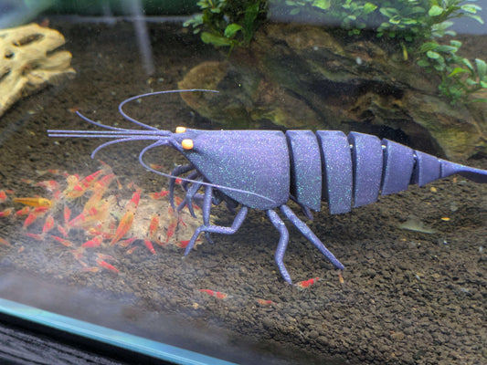 Sinking Shrimp for Aquarium Decor