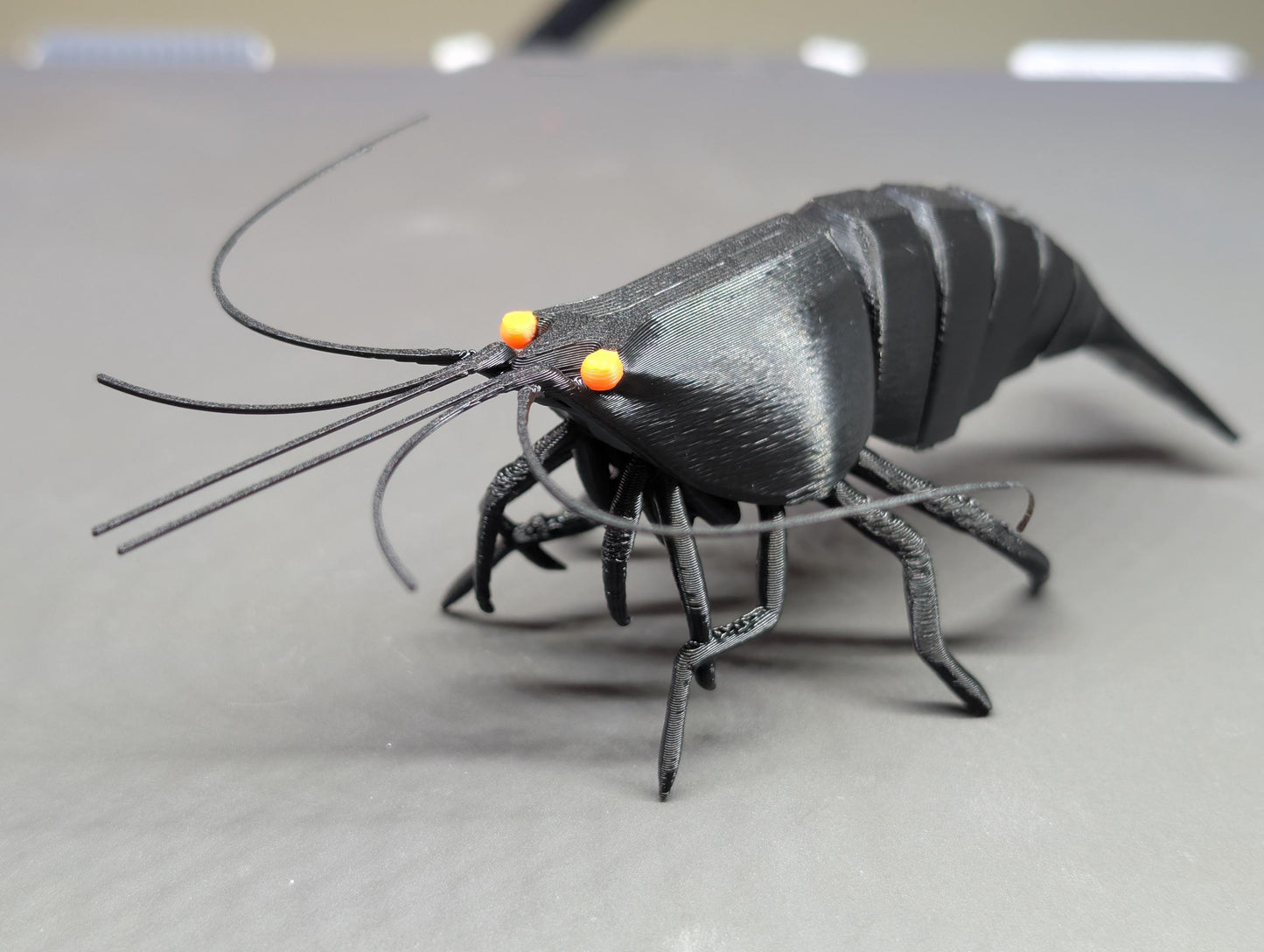 Articulated Shrimp
