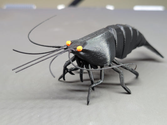 Articulated Shrimp