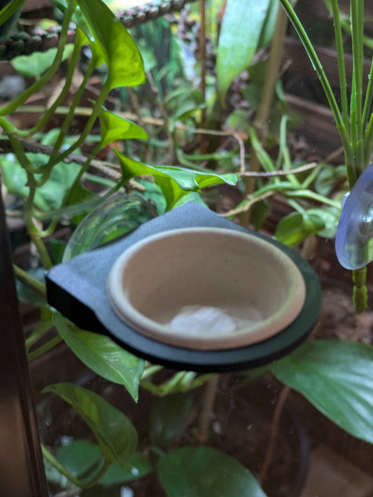 0.5 oz Reptile Feeding Ledge