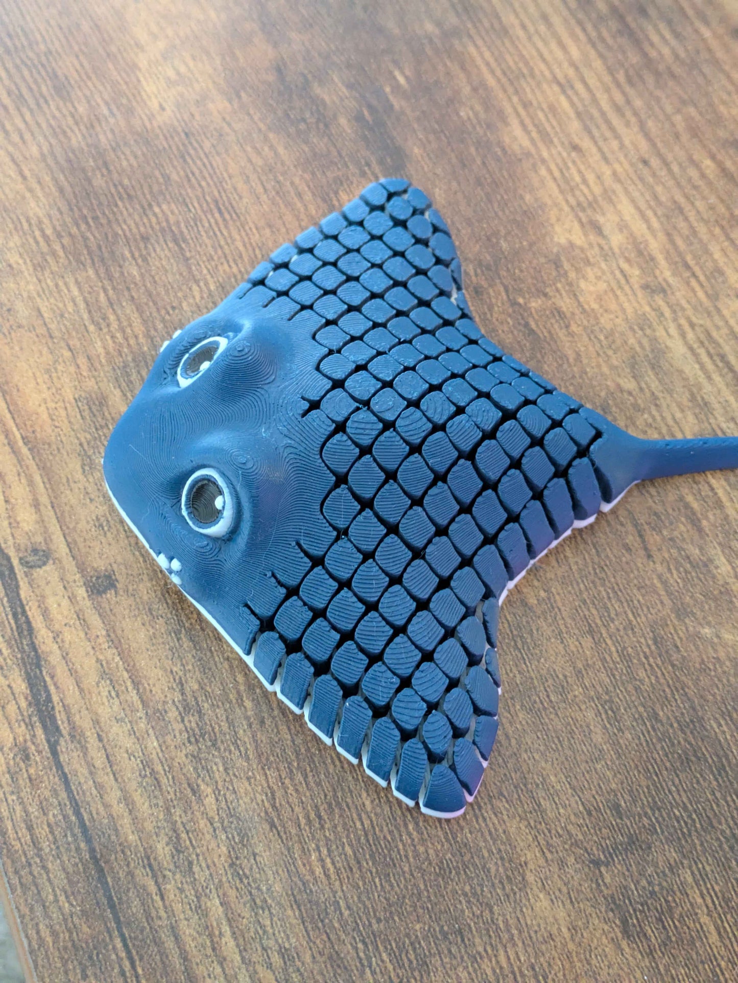 Manta Ray
